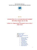 ẢNH HƯỞNG CỦA VĂN HOÁ DOANH NGHIỆP ĐẾN HOẠT ĐỘNG QUẢN TRỊ TẠI CÔNG TY TNHH NƯỚC GIẢI KHÁT COCA-COLA VIỆT NAM