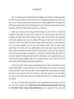 Chuyên đề thực tập thực trạng hoạt động của hệ thống kênh phân phối công ty cổ phần dược trung ương mediplantex