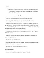 An toàn giao thông vđc