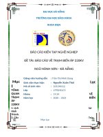 BÁO cáo KIẾN tập NGHỀ NGHIỆP đề tài báo cáo về TRẠM BIẾN áp 220KV NGŨ HÀNH sơn   đà NẴNG 