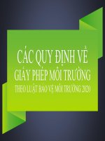 Các quy định về Giấy phép môi trường  Luật BVMT 2020
