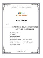ASSIGNMENT đề tài xây DỰNG kế HOẠCH MARKETING nội DUNG CHỦ đề SỐNG XANH 