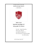 Trình bày tổng quan Thương mại điện tử (bối cảnh trên thế giới và Việt Nam)  Trình bày khái niệm Website và vai trò của Website đối với doanh nghiệp