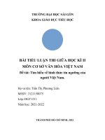 TIỂU LUẬN THI GIỮA học kì II môn cơ sở văn hóa VIỆT NAM đề tài tìm hiểu về hình thức tín ngưỡng của người việt nam  
