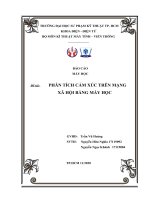 báo cáo đề tài: phân tích cảm xúc trên mạng xã hội bằng máy móc