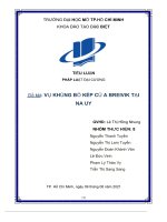 TIỂU LU n ậ PHÁP LU ật đại CƯƠNG đề tài vụ KHỦNG b kép c a BREIVIK t ố ủ ại NA UY 