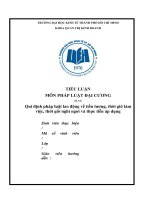 Đề tài quy định pháp luật lao động về tiền lương, thời giờ làm việc, thời giờ nghỉ ngơi và thực tiễn áp dụng ở việt nam hiện nay