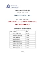 BÁO CÁO ĐỀ ÁN CUỐI KỲ HỘI CHỨNG ÁP LỰC ĐỒNG TRANG LỨA PEER PRESSURE