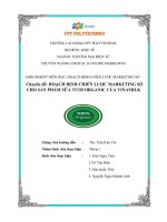 Chuyên đề HOẠCH ĐỊNH CHIẾN lược MARKETING số CHO sản PHẨM sữa tươi ORGANIC của VINAMILK 