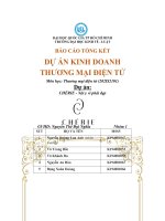 BÁO cáo TỔNG kết dự án KINH DOANH THƯƠNG mại điện tử dự án CHÉRIE   nội y vì phái đẹp 