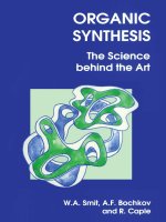 W  SMIT, a  BOCHKOV, r  CAPLE   organic synthesis  the science behind the art royal society of chemistry (1998) 