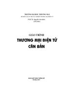 Giáo trình thương mại điện tử cơ bản