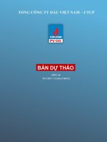 TỔNG CÔNG TY DẦU VIỆT NAM – CTCP ĐIỀU LỆ TỔ CHỨC VÀ HOẠT ĐỘNG