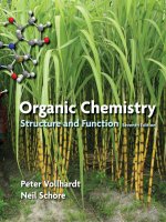 Organic chemistry structure and function 