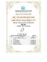 BÁO cáo TỔNG kết dự án KINH DOANH THƯƠNG mại điện tử dự án CHÉRIE   nội y vì phái đẹp 