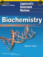 Biochemistry (lippincotts illustrated reviews series) 