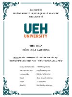 TIỂU LUẬN môn LUẬT LAO ĐỘNG đề tài QUYỀN LAO ĐỘNG của NGƯỜI KHUYẾT tật TRONG PHÁP LUẬT VIỆT NAM – THỰC TRẠNG và GIẢI PHÁP 