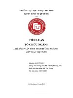 TIỂU LUẬN tổ CHỨC NGÀNH đề tài PHÂN TÍCH THỊ TRƯỜNG NGÀNH MAY mặc VIỆT NAM 