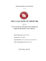 TIỂU LUẬN KINH tế CHÍNH TRỊ đề tài vai trò của khoa học công nghệ trong sự nghiệp công nghiệp hóa hiện đại hóa ở nước ta hiện nay 