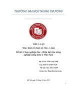 TIỂU LUẬN môn kinh tế chính trị mác   lênin đề tài công nghiệp hóa   hiện đại hóa nông nghiệp nông thôn ở việt nam 
