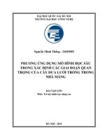 PHƯƠNG ỨNG DỤNG MÔ HÌNH HỌC SÂU TRONG XÁC ĐỊNH CÁC GIAI ĐOẠN QUAN TRỌNG CỦA CÂY DƯA LƯỚI TRỒNG TRONG  NHÀ MÀNG