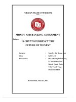 MONEY AND BANKING ASSIGNMENT subject IS CRYPTOCURRENCY THE FUTURE OF MONEY 