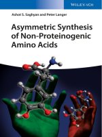 Asymmetric synthesis of non proteinogenic amino acids 