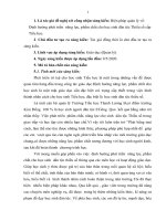 skkn biện pháp quản lý về  định hướng phát triển  năng lực, phẩm chất cho học sinh dân tộc thiểu số cấp tiểu học  (2021) 