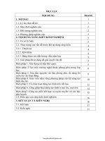 SKKN Một số biện pháp nâng cao chất lượng hoạt động tạo hình cho trẻ mẫu giáo 5 - 6 tuổi ở trường mầ...