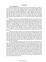 SKKN Hướng dẫn học sinh khai thác kênh hình nhằm nâng cao hiệu quả dạy học theo phương pháp tích hợp...