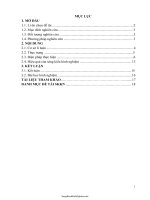 SKKN Một số biện pháp nâng cao chất lượng hoạt động tạo hình (thể loại vẽ) cho trẻ 4 - 5 tuổi ở trườ...