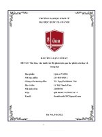 BÀI TIỂU LUẬN CUỐI kỳ đề tài văn hóa, văn minh ấn độ phản ánh qua tác phẩm văn học cổ trung đại 