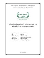 Báo cáo thực tập tốt nghiệp  Vệ sinh an toàn thực phẩm