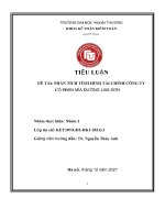 TIỂU LUẬN đề tài PHÂN TÍCH TÌNH HÌNH tài CHÍNH CÔNG TY cổ PHẦN mía ĐƯỜNG LAM sơn 