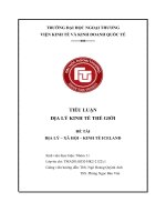 TIỂU LUẬN ĐỊA LÝ KINH TẾ THẾ GIỚI   ĐỀ TÀI ĐỊA LÝ – XÃ HỘI – KINH TẾ ICELAND