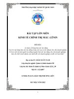 BÀI TẬP LỚN MÔN KINH TẾ CHÍNH TRỊ MÁC–LÊNIN