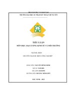 TIỂU LUẬN môn học đại CƯƠNG KINH tế và môi TRƯỜNG chủ đề 15  thực trạng lạm phát ở việt nam 