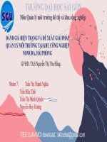 ĐÁNH GIÁ HIỆN TRẠNG và đề XUẤT GIẢI PHÁP QUẢN lý môi TRƯỜNG tại KHU CÔNG NGHIỆP NOMURA, hải PHÒNG 