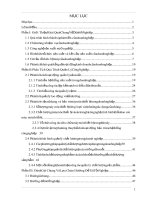 Phân tích quá trình quản lý công nghiệp thực tập tại Công ty TNHH YNGSHIN