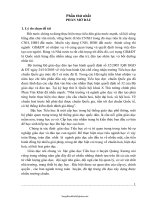 Sáng kiến kinh nghiệm Xây dựng trường Tiểu học đạt chuẩn Quốc gia mức độ I