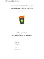 TIỂU LUẬN CUỐI KỲ   SẢN PHẨM VÀ DỊCH VỤ THÔNG TIN