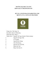 ĐỀ tài lập kế HOẠCH MARKETING CHO DỊCH vụ của CAZTUS ICE BLENDED 