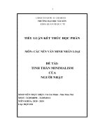 TIỂU LUẬN kết THÚC học PHẦN môn các nền văn MINH NHÂN LOẠI đề tài TINH THẦN MINIMALISM của NGƯỜI NHẬT 