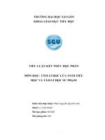 TIỂU LUẬN kết THÚC học PHẦN môn học tâm lí học lứa TUỔI TIỂU học và tâm lí học sư PHẠM 