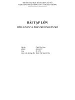 báo cáo bài lập lớn linux