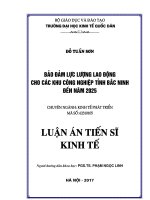 (Luận án tiến sĩ) Bảo đảm lực lượng lao động cho các khu công nghiệp tỉnh Bắc Ninh đến năm 2025