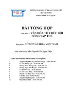 BÀI TỔNG hợp CHƯƠNG 3 văn hóa tổ CHỨC đời SỐNG tập THỂ học phần cở sở văn hóa VIỆT NAM 