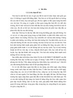 SKKN Một số biện pháp chỉ đạo xây dựng văn hoá nhà trường thông qua việc xây dựng môi trường học tập...