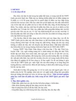 SKKN Một vài kinh nghiệm giúp học sinh làm tốt phần đọc hiểu trong đề thi THPT Quốc gia môn Ngữ văn