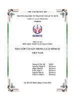 TIỂU LUẬN MÔN HỌC PHÁP LUẬT ĐẠI CƯƠNG TỘI CƯỚP TÀI SẢN TRONG LUẬT HÌNH SỰ VIỆT NAM